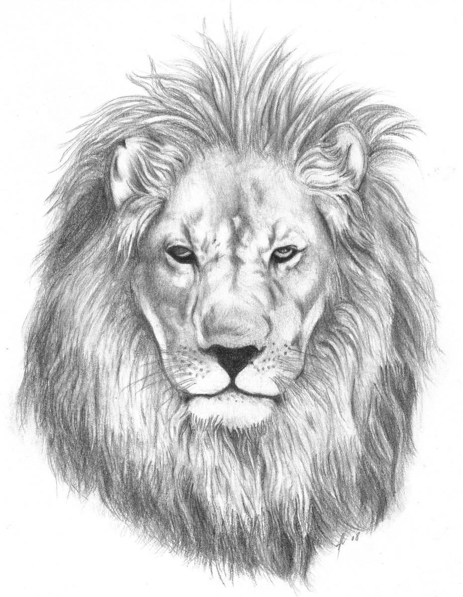 Lion Tattoos, Designs And Ideas : Page 24