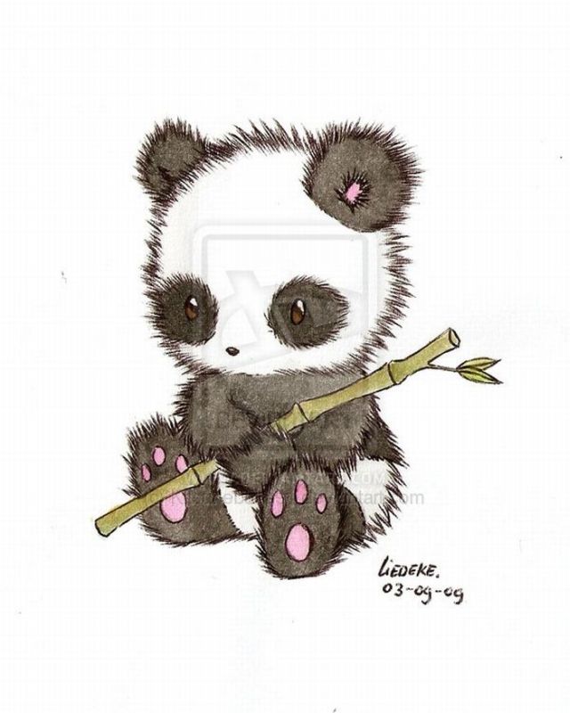 Drawings Of Pandas | Viralnova