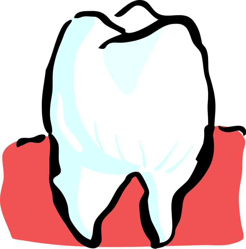 Dente Clip Art Download