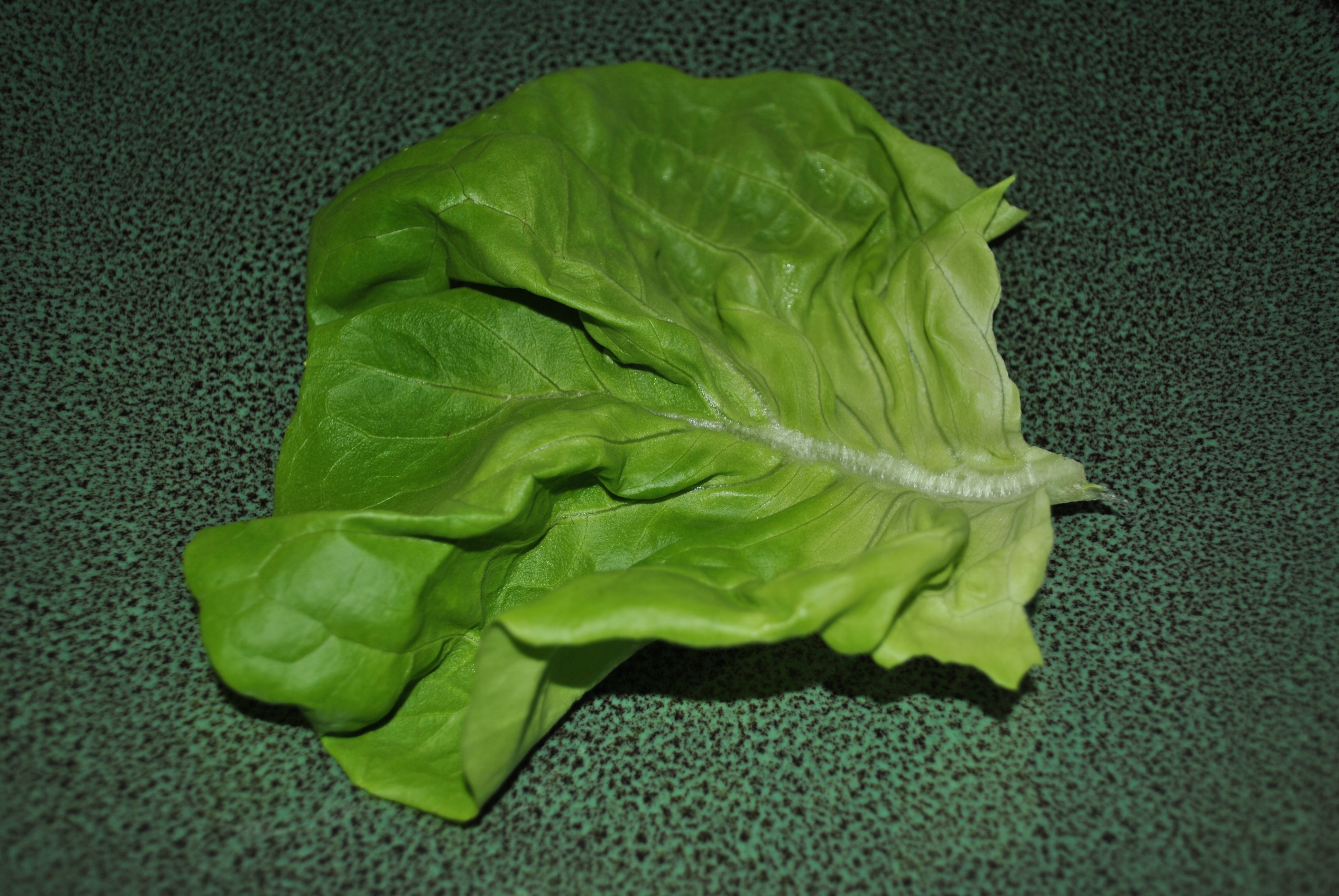 Shrimp lettuce wrap tacos | Paleo-rrific