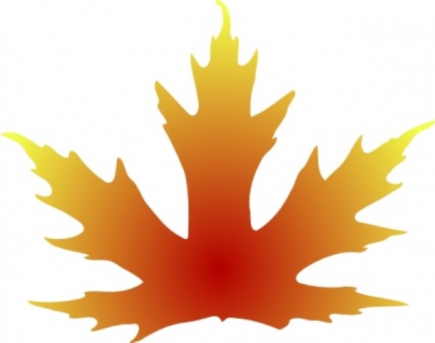maple leaf with a gradient fill Vector | Free Download