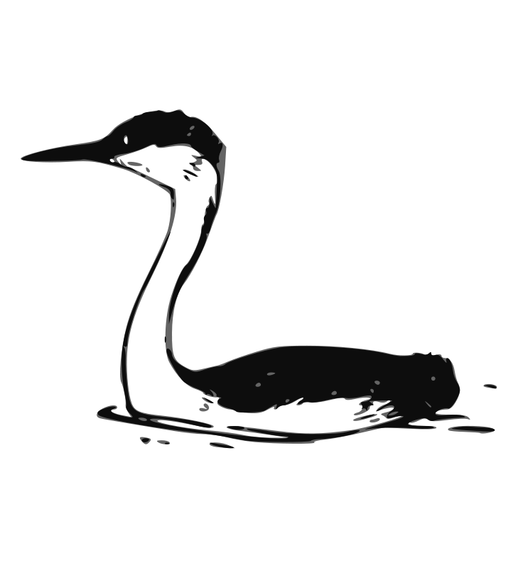Waterbird Clip Art Download