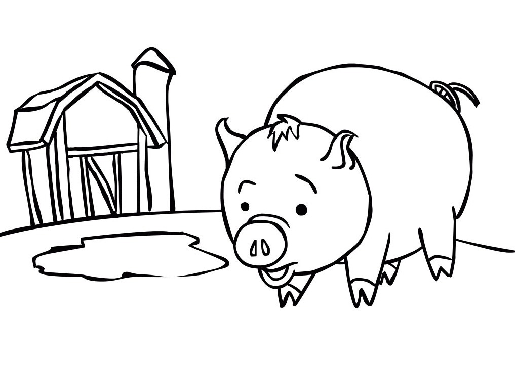 o pig Colouring Pages