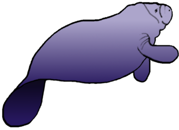 Manatee Clip Art | Clipart Panda - Free Clipart Images