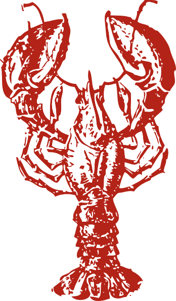 Lobster clip art - vector clip art online, royalty free & public ...