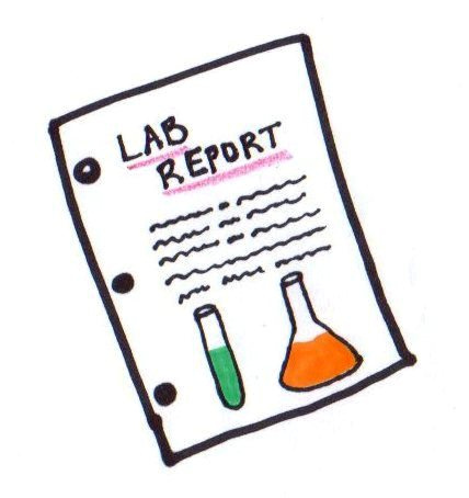 lab report | Flickr - Photo Sharing!