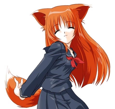 Anime Cats ^^ | Publish with Glogster!