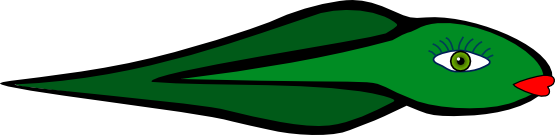 tetard_tadpole-555px.png