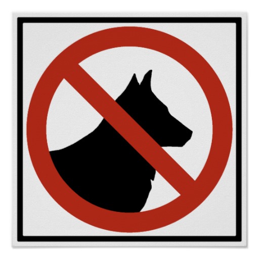 No Dogs Allowed Posters, No Dogs Allowed Prints, Art Prints ...