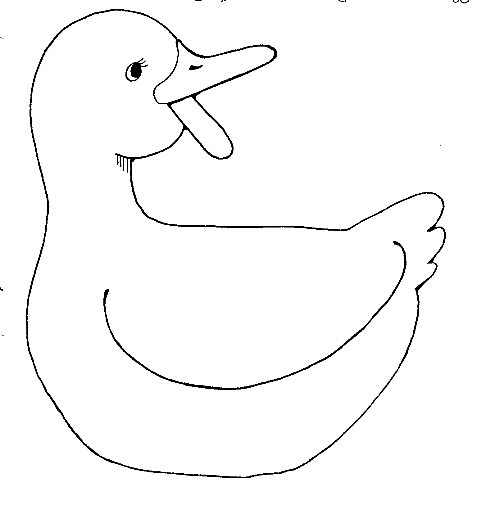 Duck Mother | Mormon Share