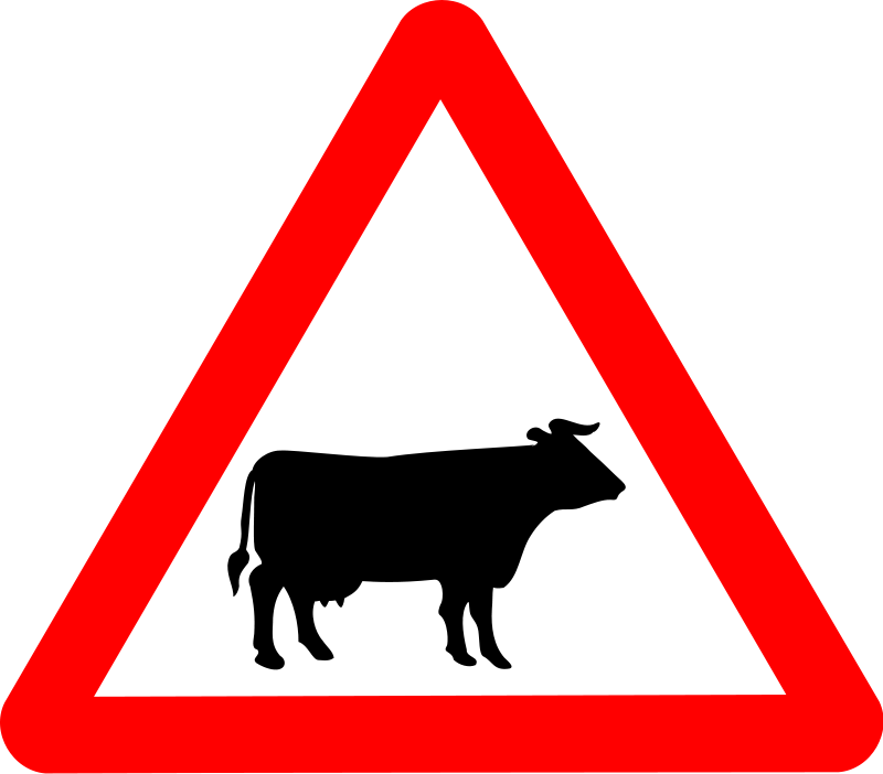 Cattle Clip Art Download