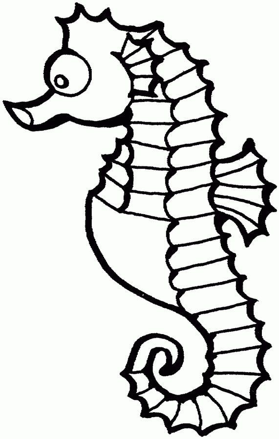 seahorse coloring pages | Coloring Pages For Kids