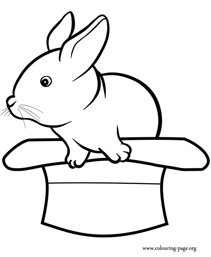 Rabbits and bunnies a rabbit in a hat coloring page