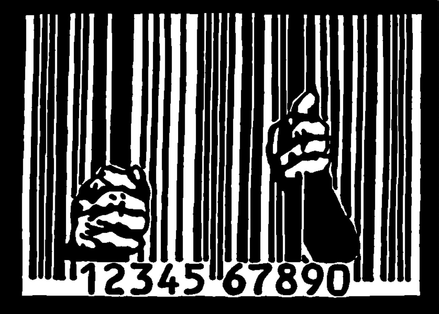 3 Reasons Prison Injustice Is a Feminist Issue That Needs Our ...