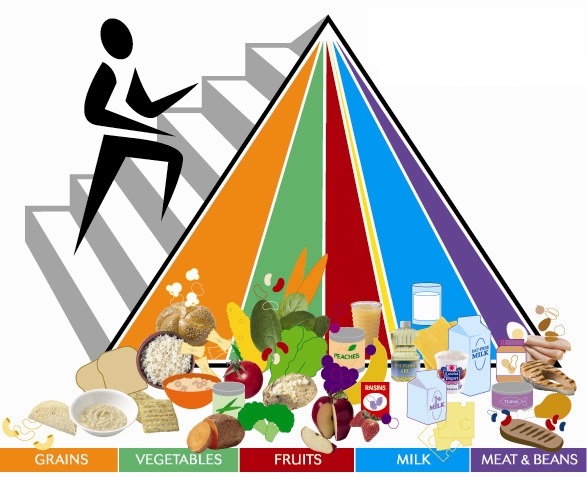 Balance Diet Chart to Ensure a Healthy Food Habit