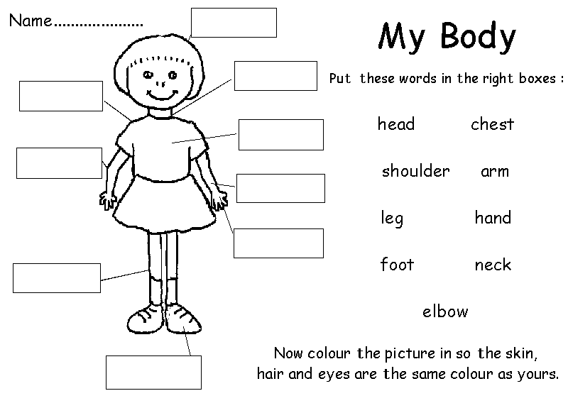 English for Children: My Body