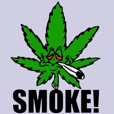 SMOKE! Weed Leaf With Joint / Grey T-Shirt / Sizes- S,M,L,XL,2XL ...