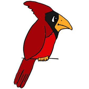 Cardinals T-Shirt Designs | Wordans Canada