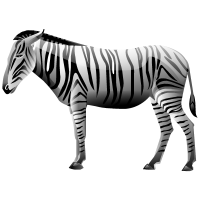 zebra_PNG8967.png
