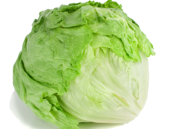 Iceberg Lettuce