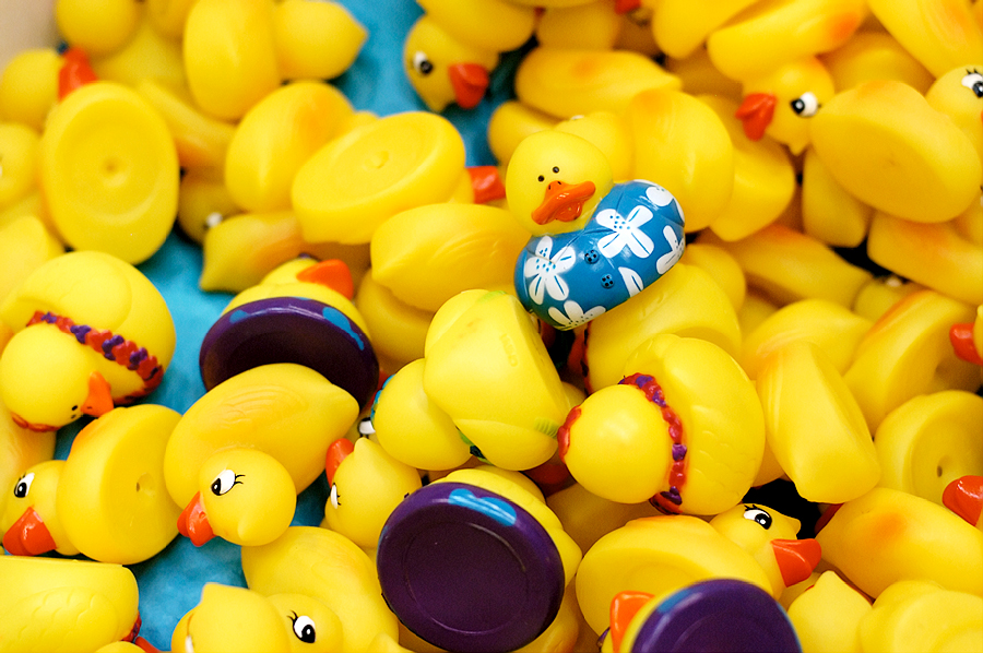 disneymike photoblog: Hawaiian Rubber Duckie