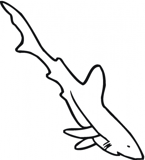 Tiger Shark 3 | Clipart Panda - Free Clipart Images