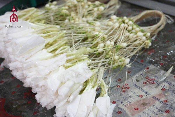 Travel] Philippines 23 December 2010 – 5 January 2011