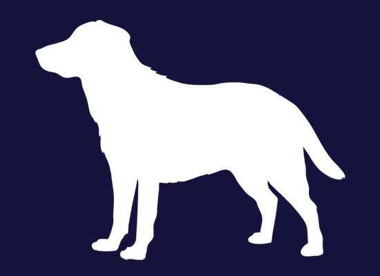 Labrador Silhouette | Release The Hounds