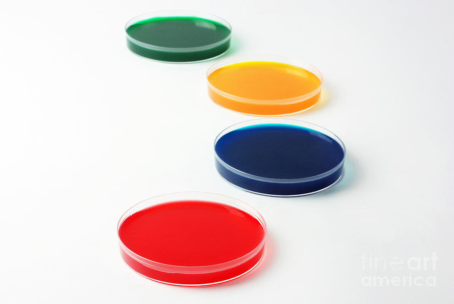 Petri Dish by Photo Researchers, Inc. - Petri Dish Photograph ...