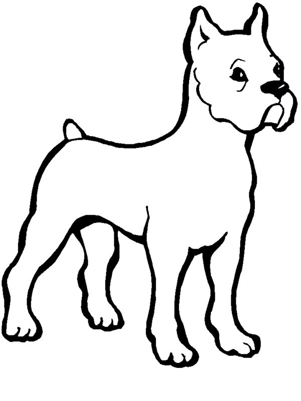 Free Bulldog Coloring Pages