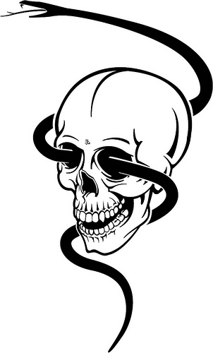 Skull With Black Snake Vector - a photo on Flickriver