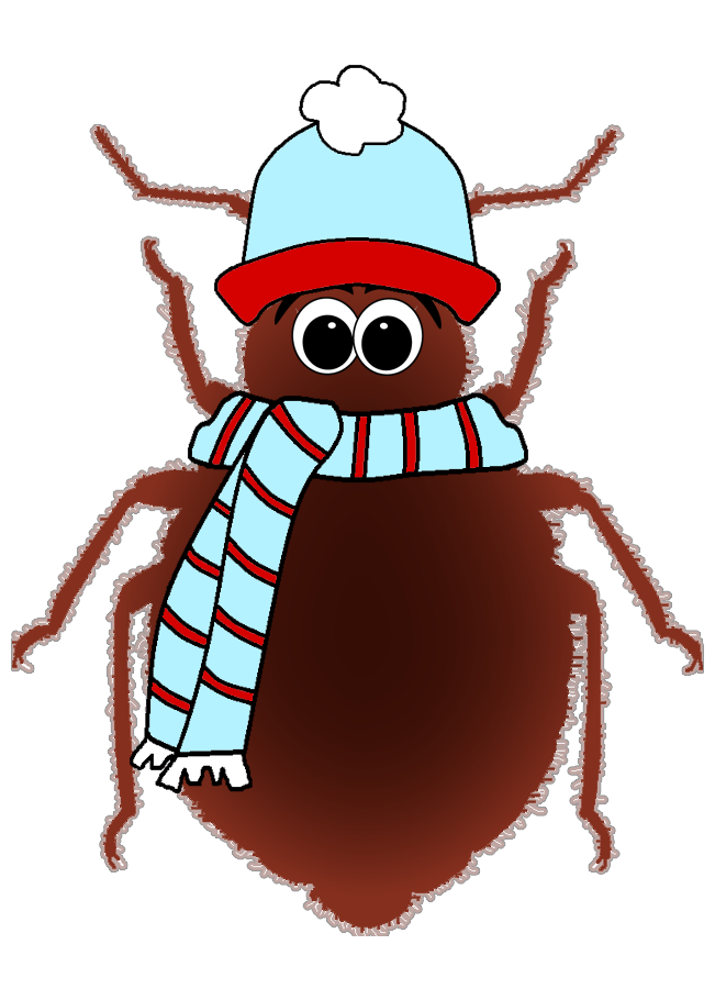 Does Freezing Kill Bed Bugs? Find out now what recent studies reveal.