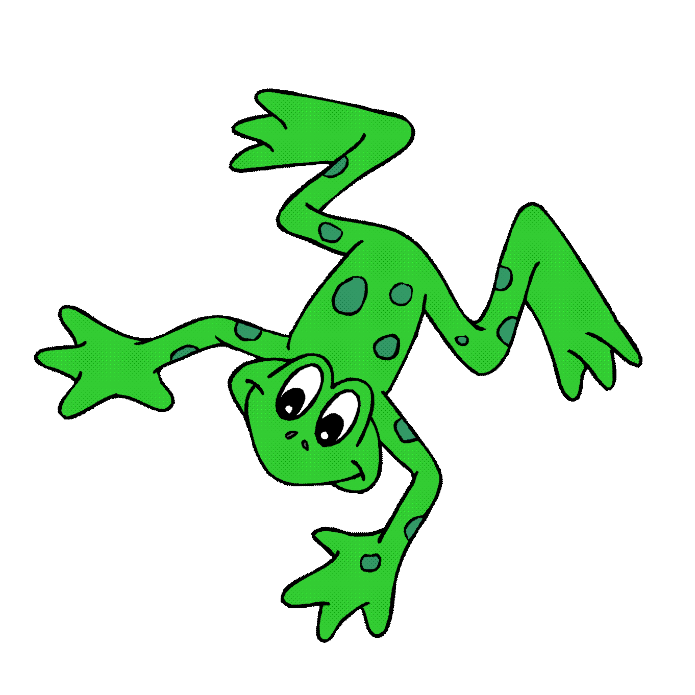 Frog Pictures For Kids 10