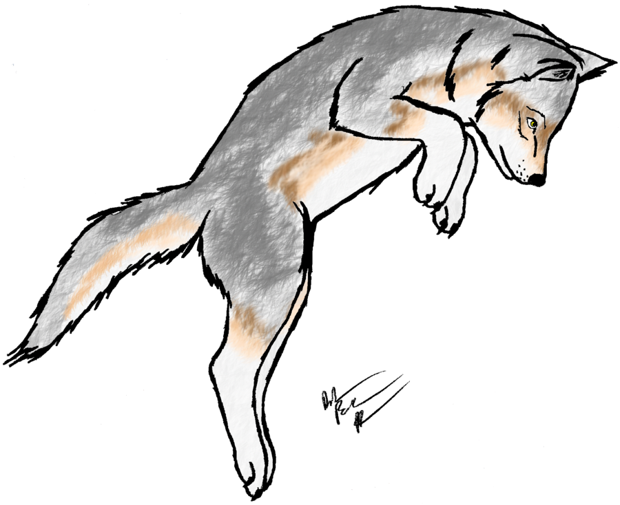 Wolf Pup Adoptable ---OPEN--- by xXMaishaXx on deviantART
