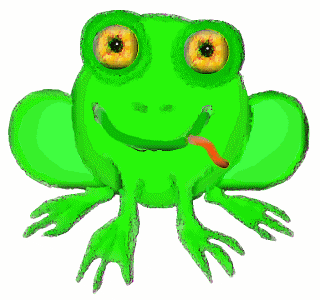 Quentin Frog Animation