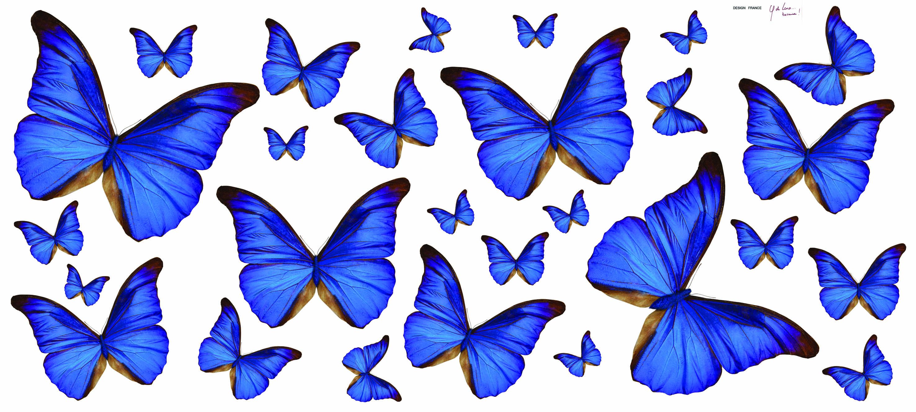 Blue Butterfly Sticker by Creative Wall Art : Wallpaper Direct