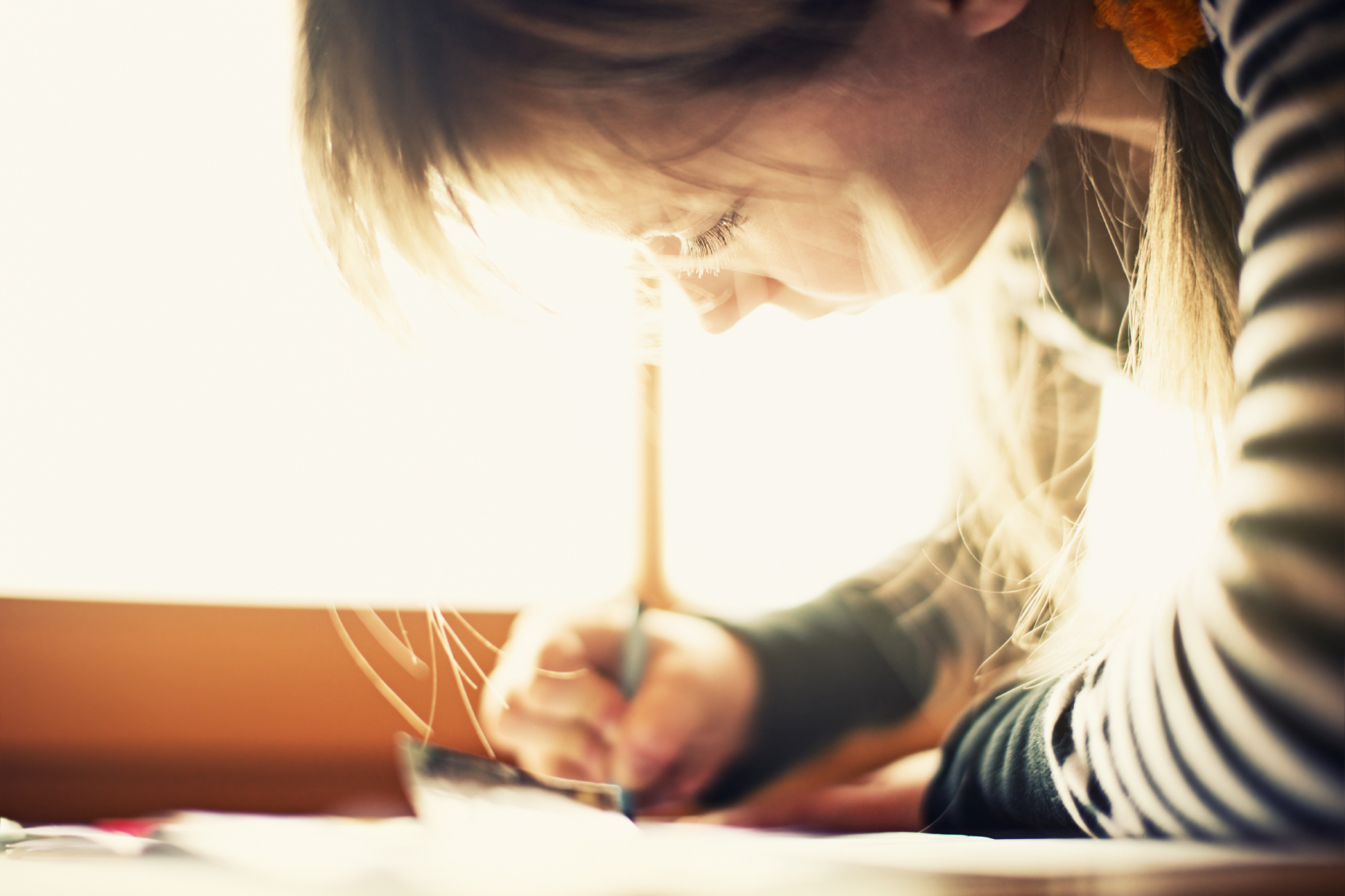 Making School Work, P.L. | A Private Law Firm