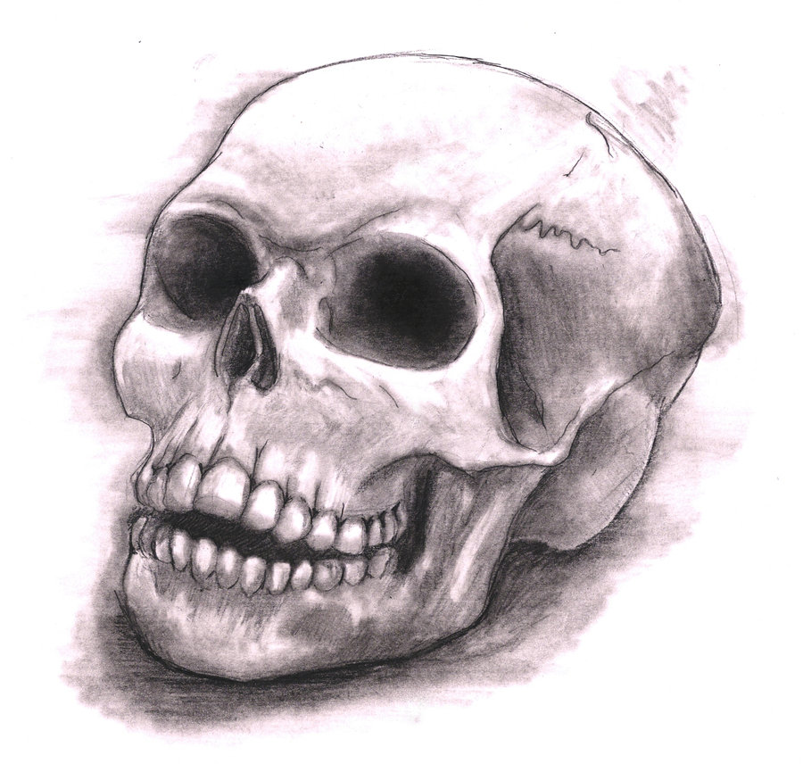 skull drawing | Drawing Pics