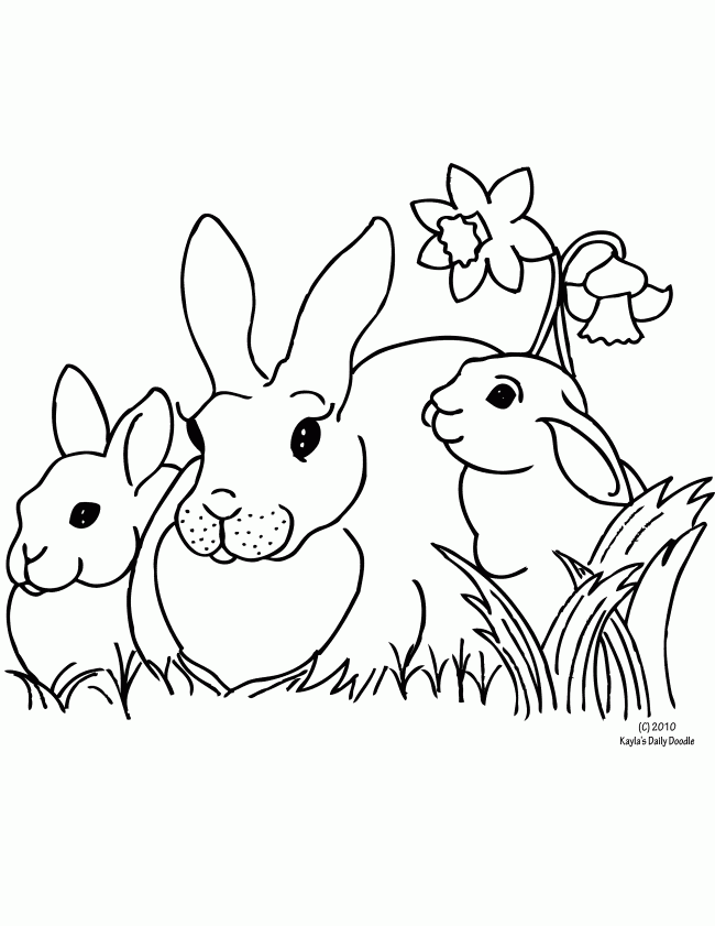 bunny-rabbit-daffodil-650x841.gif