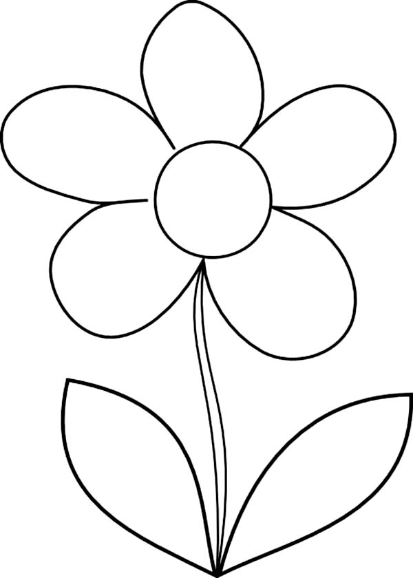 How to Draw Daisy Flower Coloring Page - Download & Print Online ...