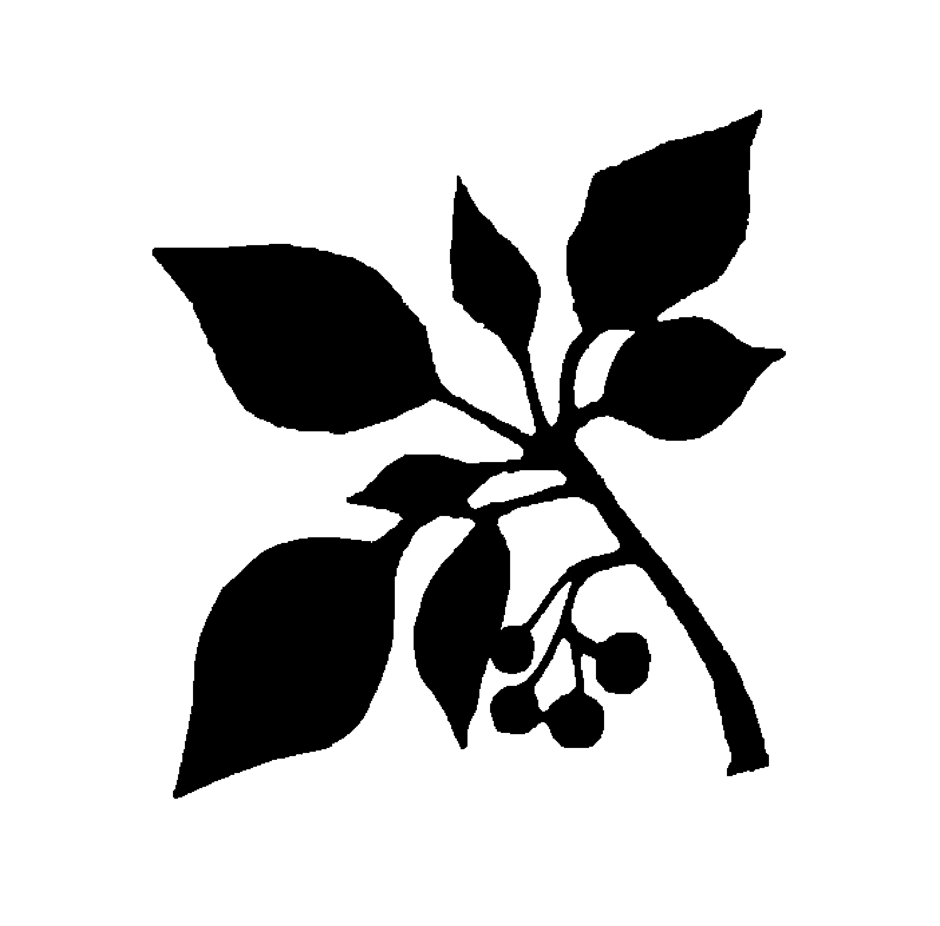 JABSOM Graphics and Logos