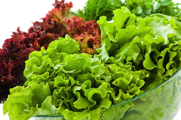 Lettuce-varieties.jpg
