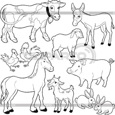 Animals | High Quality Stock Vector Clipart | Image Directory ...