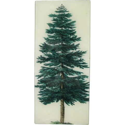 John Derian Company Inc — Evergreen Tree