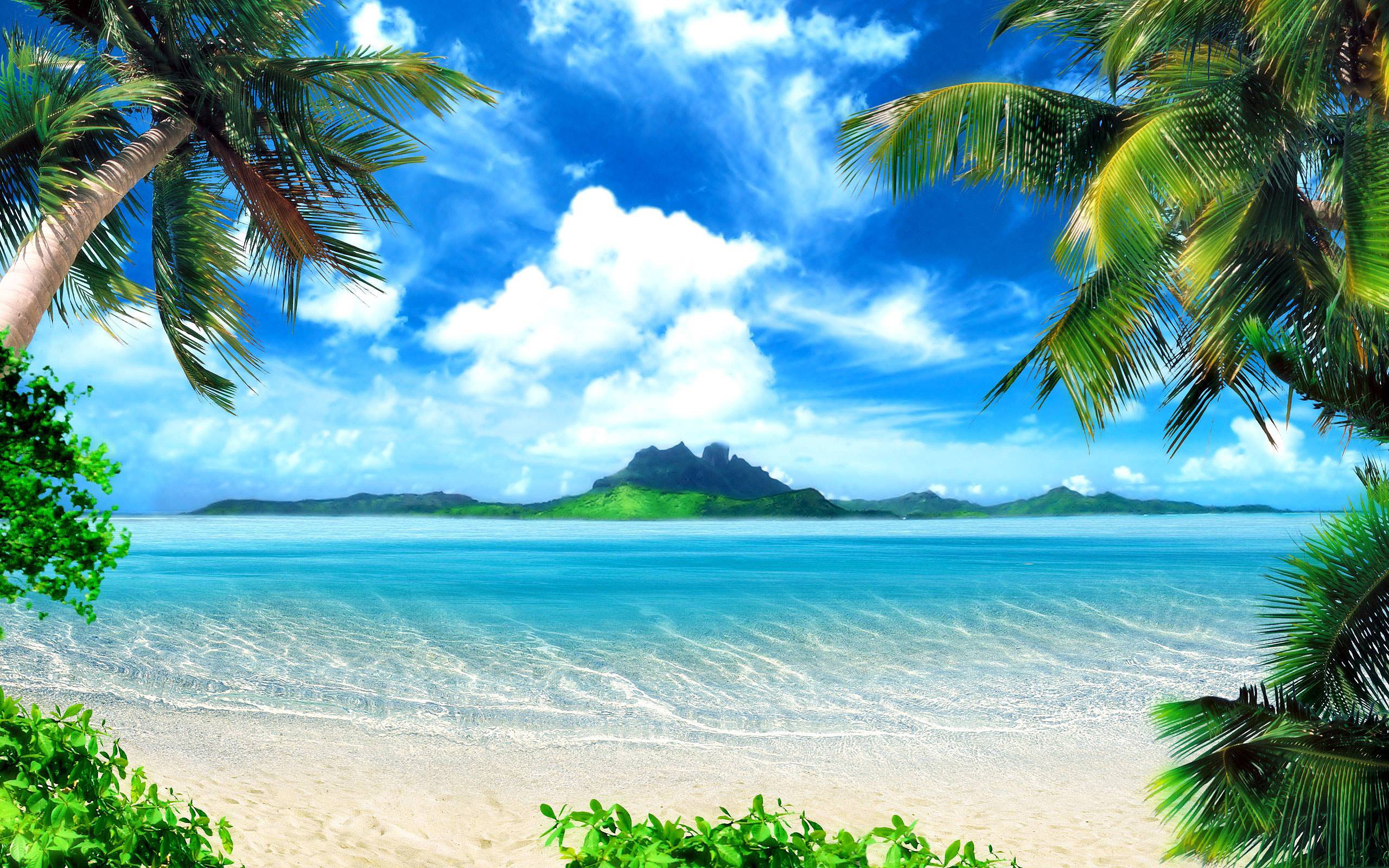 2560x1600 Tropical Beach Background Wallpaper