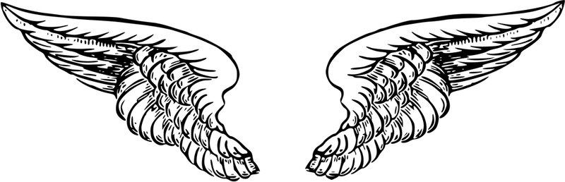 drawings-angel-wings-51.png Photo by ing13casper | Photobucket