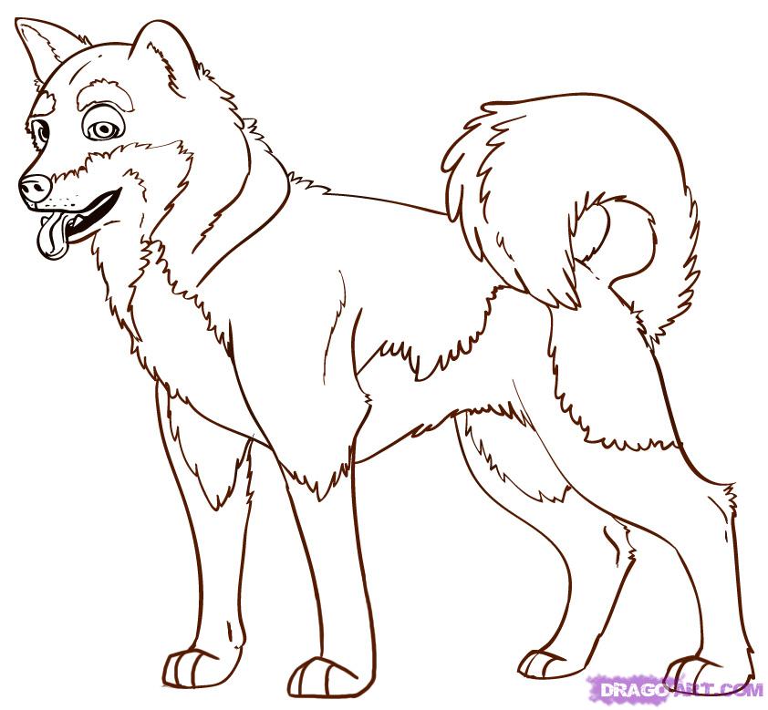 How to Draw an Akita, Step by Step, Pets, Animals, FREE Online ...