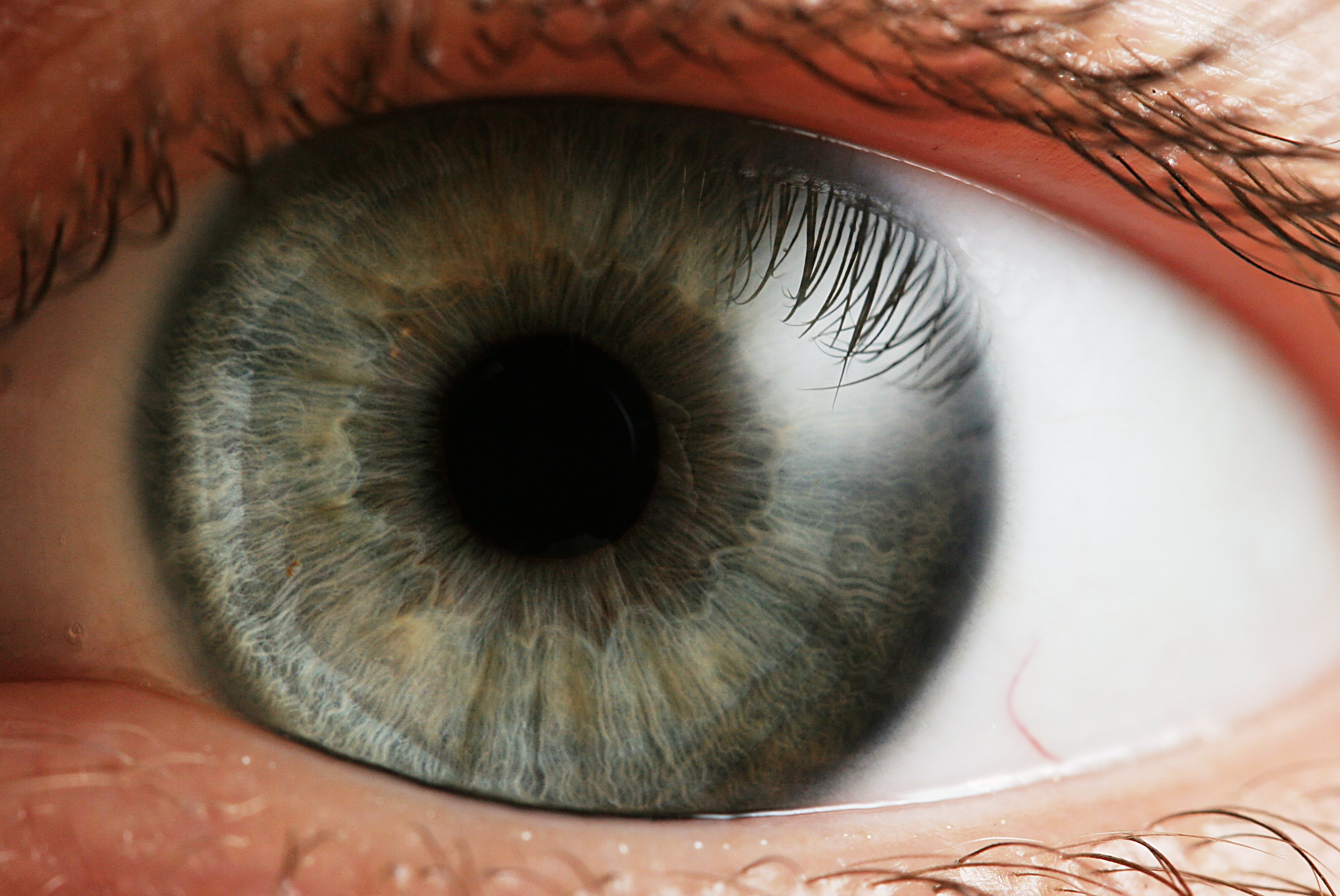 The Whites of Your Eyes Convey Subconscious Truths | Psychology Today