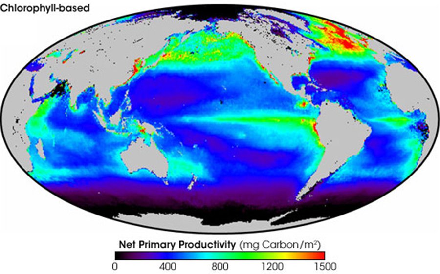 The Domino Theory | Freshwater Inflow Tools