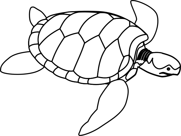 Green Sea Turtle Line Art Clipart, vector clip art online, royalty ...